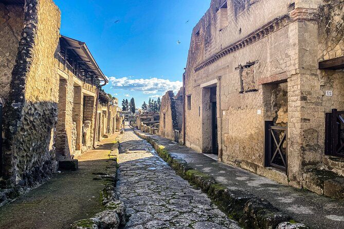 Herculaneum 3D Skip the line Walking Tour - Comfort and rules that matter for families