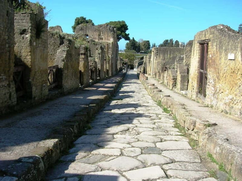 HERCULANEUM AND VESUVIUS: PRESTIGE TOUR FROM NAPLES - Key highlights worth your attention