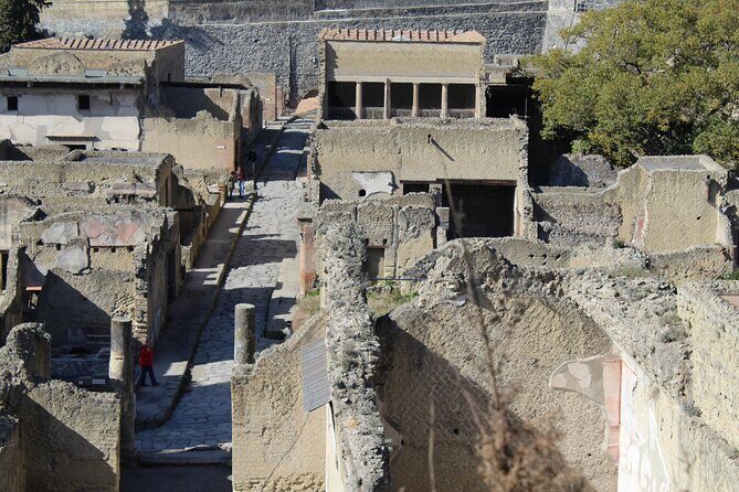 Herculaneum Private Guided Tour Led by a Local Top-rated Guide - All inclusive - Choosing your guide: when the details start to click