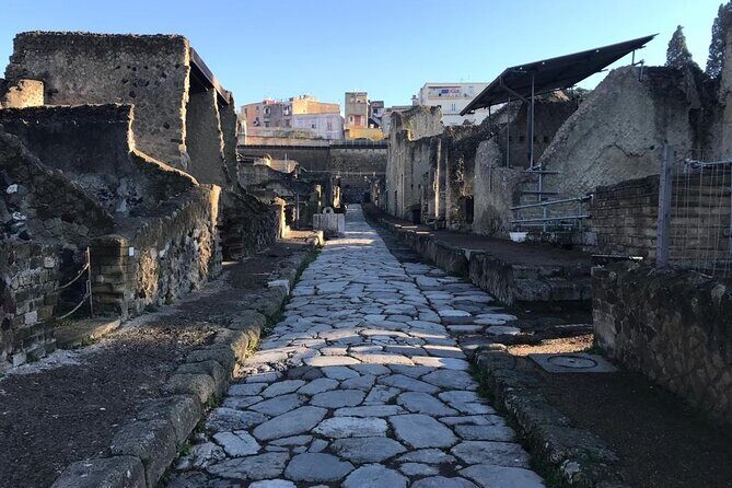 Herculaneum - Private Tour (skip-the-line admission included) - Herculaneum, Not Just Another Ruins Stop
