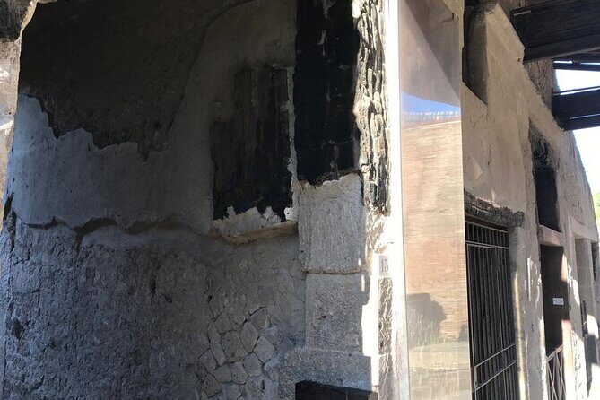 Herculaneum - Private Tour (skip-the-line admission included) - The Seafront Story: Skeletons, Shelter, and a Wooden Boat