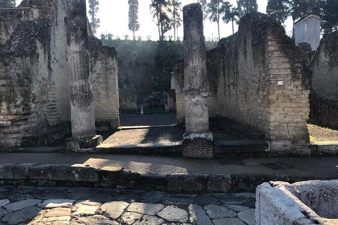 Herculaneum - Private Tour (skip-the-line admission included) - Logistics in Naples: Getting Tickets, Timing, and Peace of Mind Right