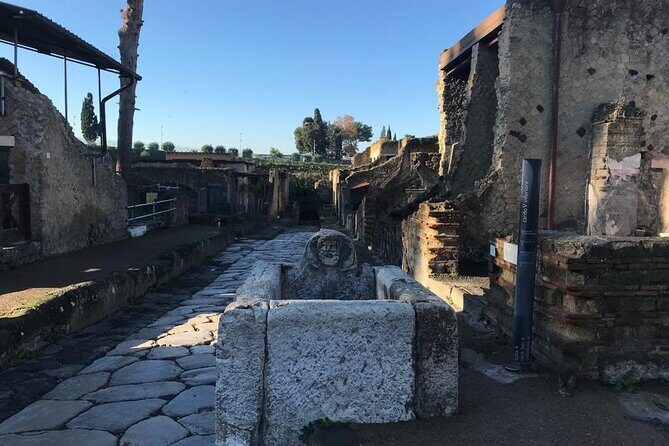 Herculaneum - Private Tour (skip-the-line admission included) - Who This Herculaneum Tour Suits Best