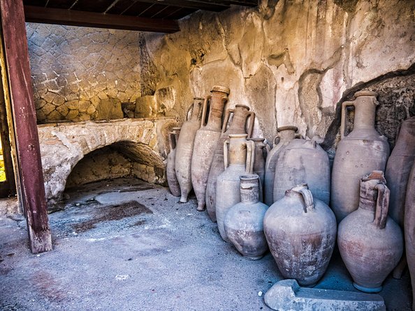 Herculaneum Private Tour with an Archaeologist - Why a Private Archaeologist Tour in Herculaneum Works