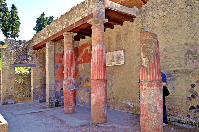 Herculaneum Private Tour with an Archaeologist - Family-Friendly and Not Just for Buffs