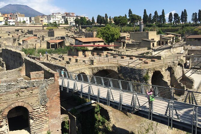 Herculaneum Private Walking Guided Tour 2 hours - How the volcanic mud changed what you can see (wood, food, fabrics)