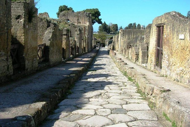 Herculaneum Ruins Private Half-Day Tour - Pickup that actually works: hotels, trains, and cruise terminals