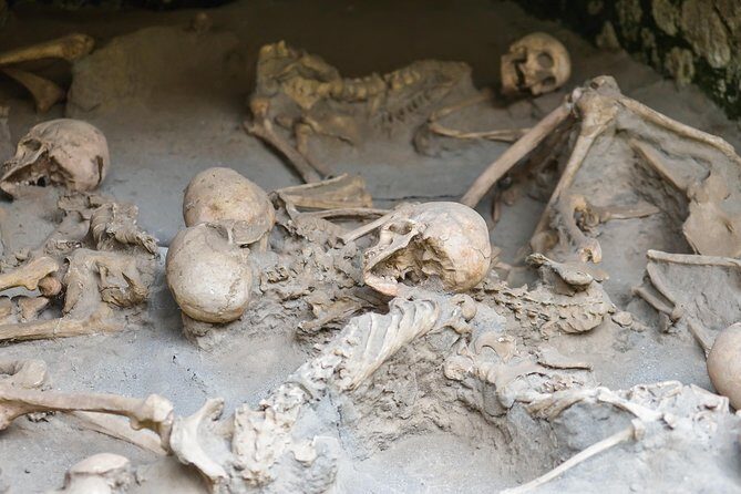 Herculaneum small group tour with an archaeologist - skip the line - Skip-the-line entry and what $57.26 actually buys