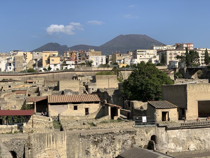 Herculaneum: Tickets & Tour with a Local Archaeologist - Key highlights at a glance