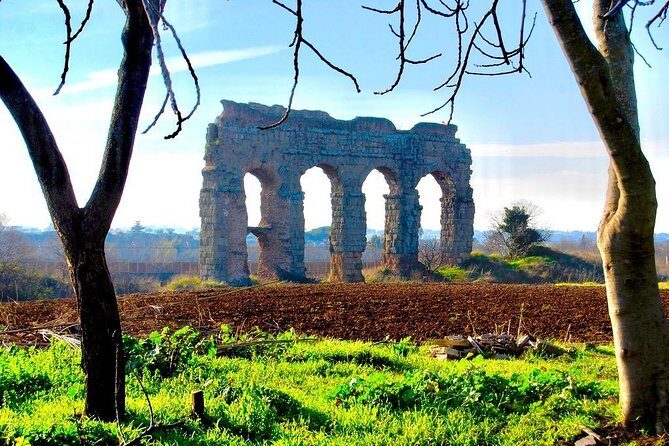 Hidden Rome - Private Tour with Driver - Parco degli Acquedotti: aqueduct ruins where you can actually breathe