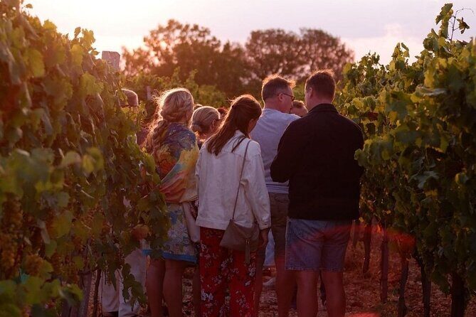 History & Local Wines: Amphitheater, Mitrium and Winery Visit - Price and value: what $868.20 buys you in Naples