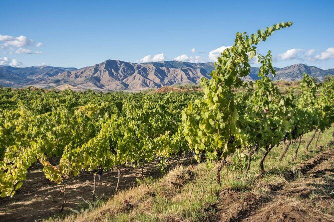 History & Local Wines: Amphitheater, Mitrium and Winery Visit - Who should book this tour (and who might not)
