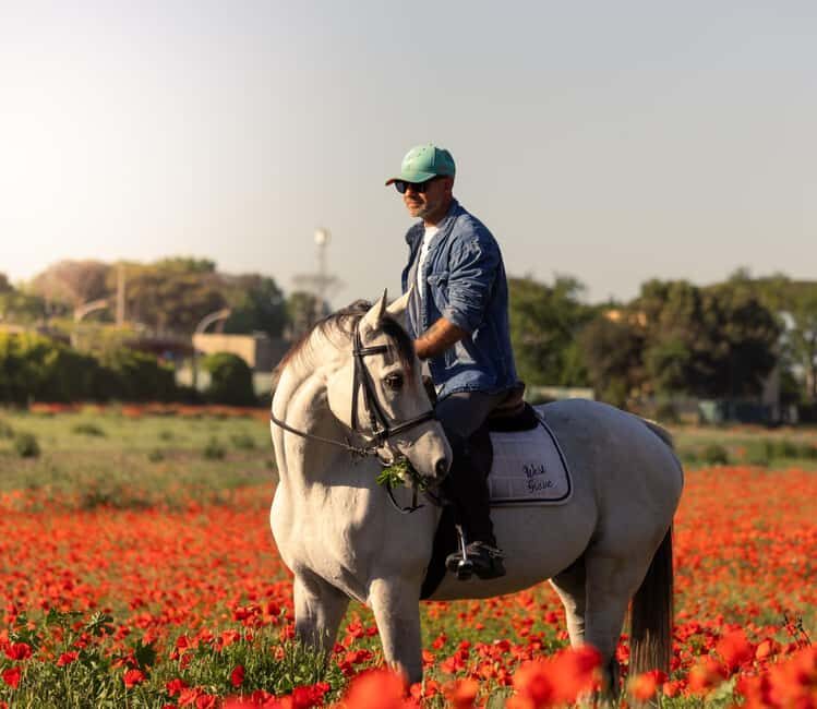 Horse Sanctuary in Rome - Key things you’ll do at the ranch