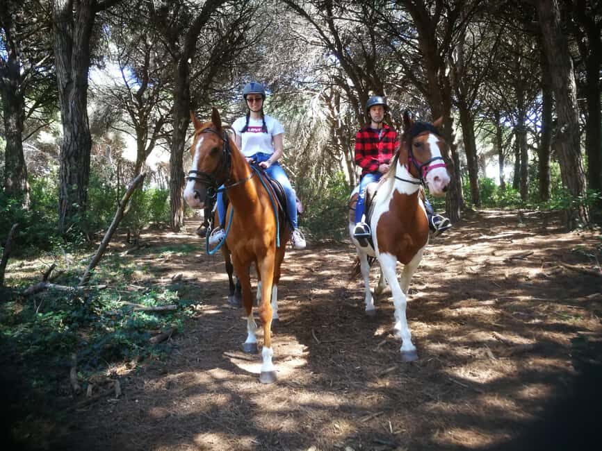 Horse Sanctuary in Rome - Small group coaching and photo-friendly moments