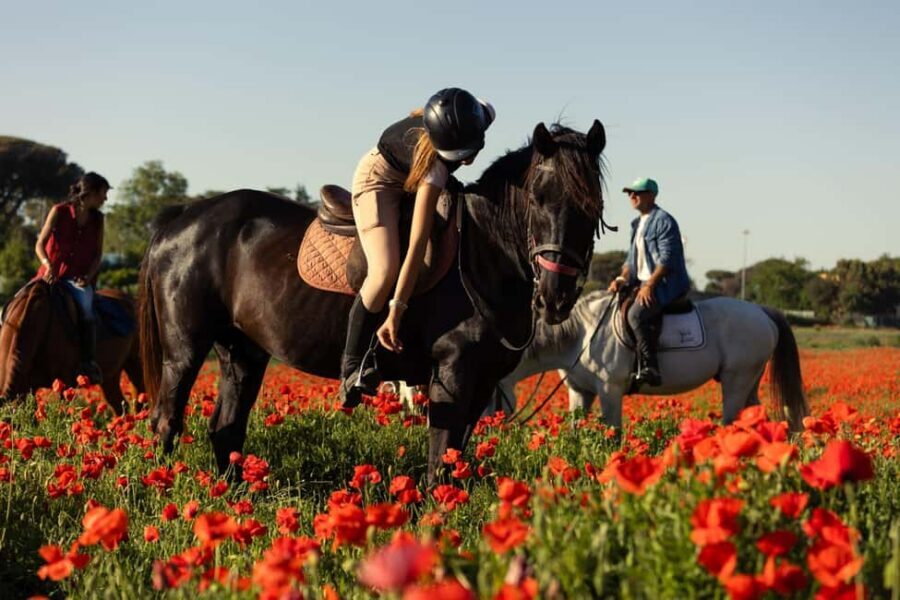 Horse Sanctuary in Rome - A horse sanctuary plus Ancient Ostia: the feel-good combo