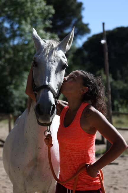 Horse Sanctuary in Rome - Grooming and feeding rescued horses (you’re part of the routine)