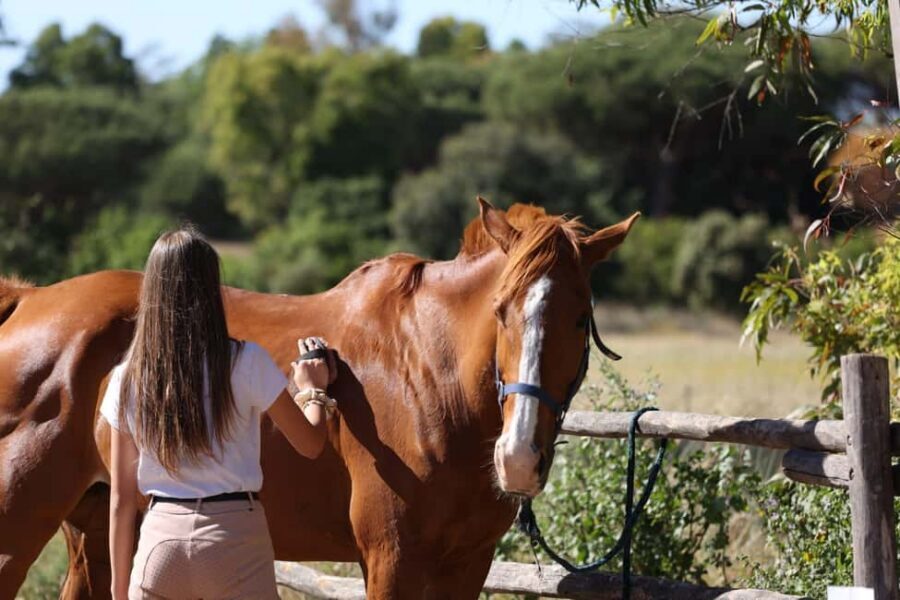 Horse Sanctuary in Rome - Pinewood trail, beach air, and Roman ruins on horseback