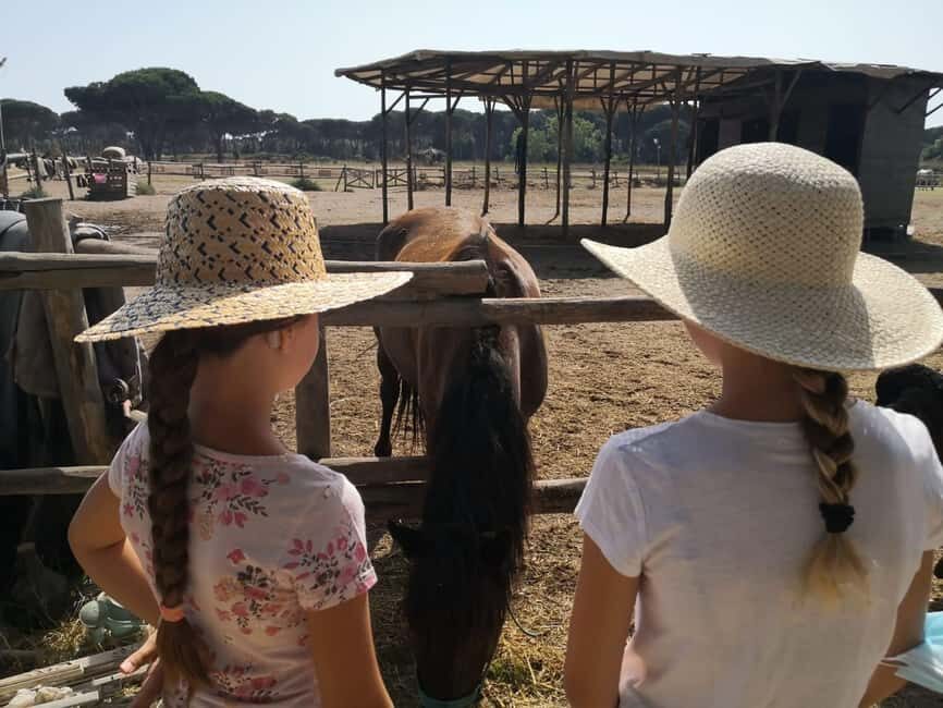 Horse Sanctuary in Rome - What’s included in the $106 price—and what you should budget for