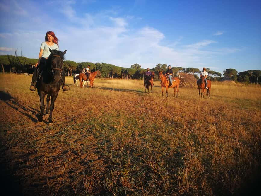 Horse Sanctuary in Rome - Who this suits best (and who should skip it)