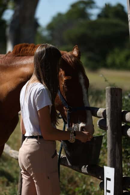 Horse Sanctuary in Rome - Footwear, water, and the small rules that keep it safe