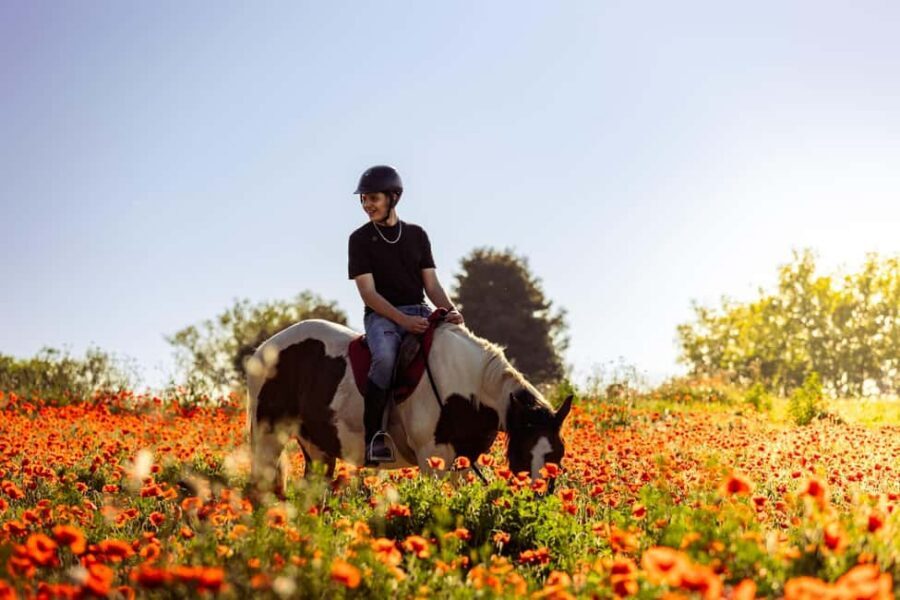Horse Sanctuary in Rome - Meeting at a coffee shop and getting to the ranch without stress