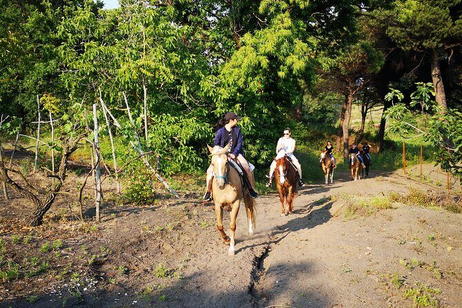 Horseback Riding on Vesuvius - Guides and group size: why the small numbers matter