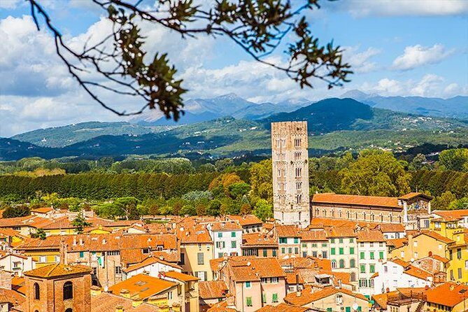 Lucca and Pisa Day Tour from Rome - Torre Guinigi: the garden-topped tower moment