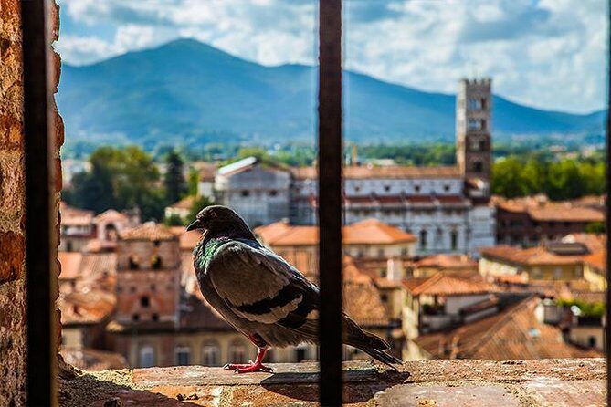 Lucca and Pisa Day Tour from Rome - Pisa’s Piazza dei Miracoli: UNESCO views with time to breathe