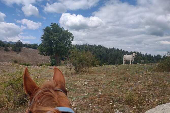 Middle day out of Rome on Horseback with meals included - Price and value: what you really pay for at the listed cost