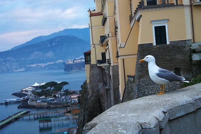 Minivan Tour | Positano Sorrento and Pompeii whit local driver - Stop 1: Pompeii Ruins with an Optional Ruins Guide