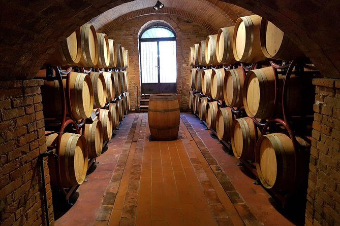 Montepulciano Noble Wines tour in Tuscany from Rome - Price and value: $694.56 for wine, towns, and convenience