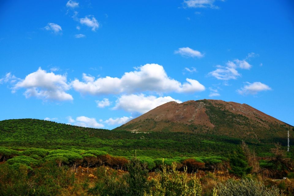 Mount Vesuvius 4-Hour Volcano Tour with Wine Tasting - Two walking routes up Vesuvius: crater summit vs Valley of Hell