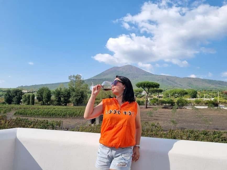 Mount Vesuvius: 5 Wine Tastings with Tour & Lunch Included - Key highlights worth planning for