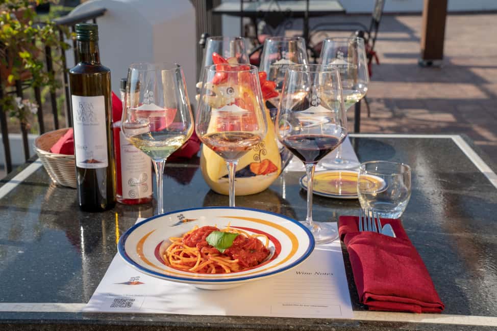 Mount Vesuvius: 5 Wine Tastings with Tour & Lunch Included - Where it starts: Vesuvius National Park, vineyards, and real wine country time