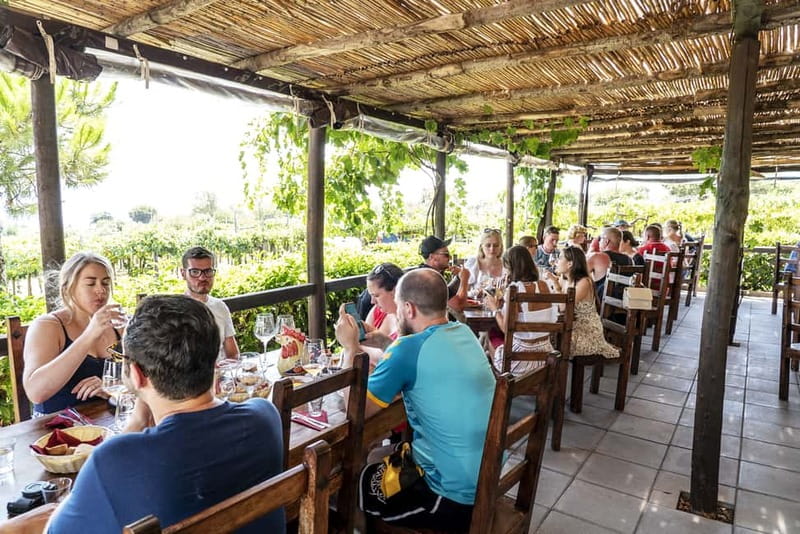 Mount Vesuvius: 5 Wine Tastings with Tour & Lunch Included - Lacryma Christi and the 5-wine tasting: what to look for
