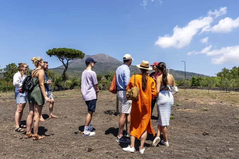 Mount Vesuvius: 5 Wine Tastings with Tour & Lunch Included - What this tour includes besides wine: oil, vinegar, and local table culture