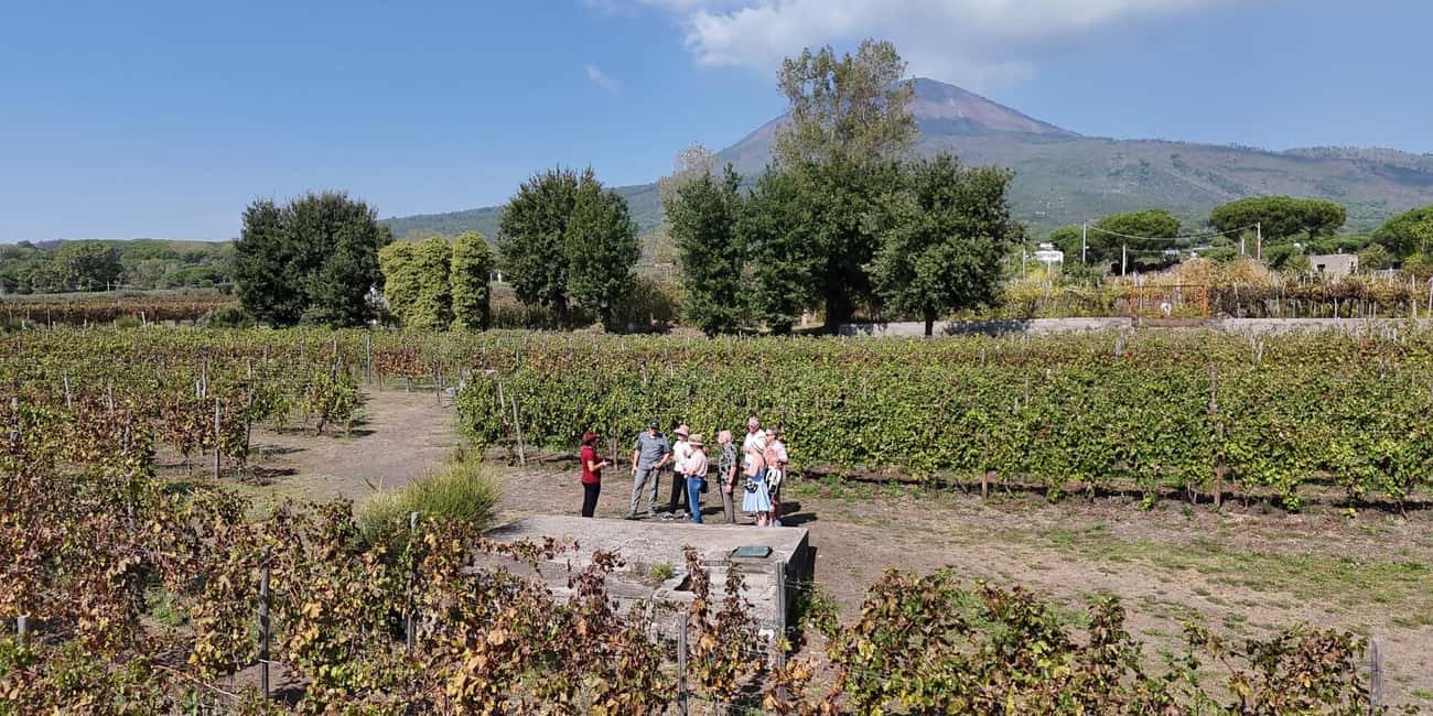 Mount Vesuvius: 5 Wine Tastings with Tour & Lunch Included - Practical details that matter: group size, timing, and what to bring