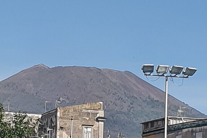 Mount Vesuvius and Pompeii private tour - Vesuvius National Park: your summit choice, and the ticket reality