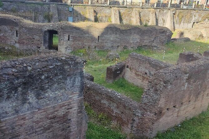 Mount Vesuvius and Pompeii private tour - What you’re really paying for: private service at $331.62 per person