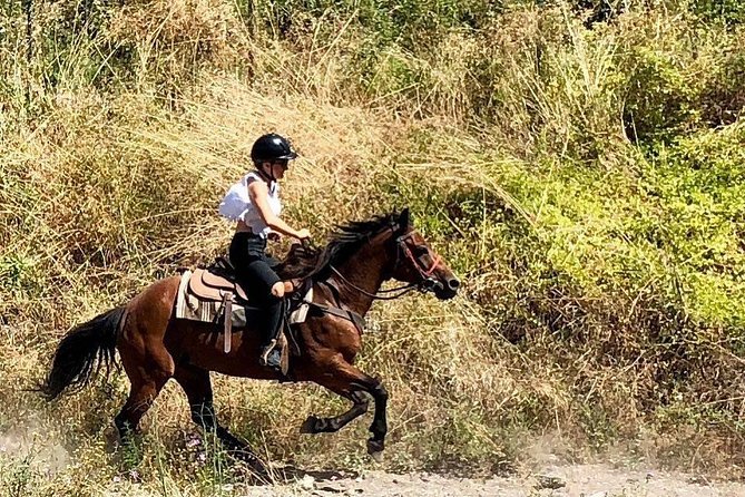 Mount Vesuvius Guided Horse Riding Tour with Sample Wine - The Vesuvius Trail in the National Park: What 1.5 to 2 Hours Feels Like