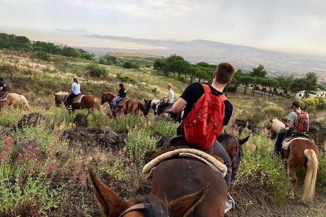 Mount Vesuvius Guided Horse Riding Tour with Sample Wine - The Viewpoint Moment: Naples Bay, Islands, and Volcano Facts