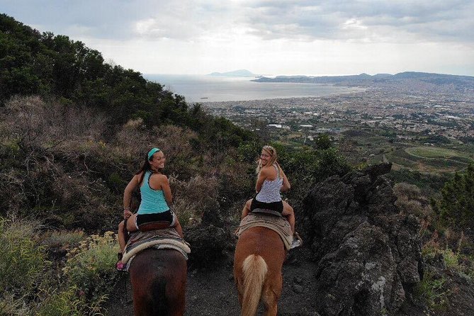 Mount Vesuvius Guided Horse Riding Tour with Sample Wine - Price and Value: Is $107.68 Worth It?