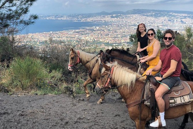 Mount Vesuvius Guided Horse Riding Tour with Sample Wine - Who This Tour Fits Best (and Who Might Want Another Option)