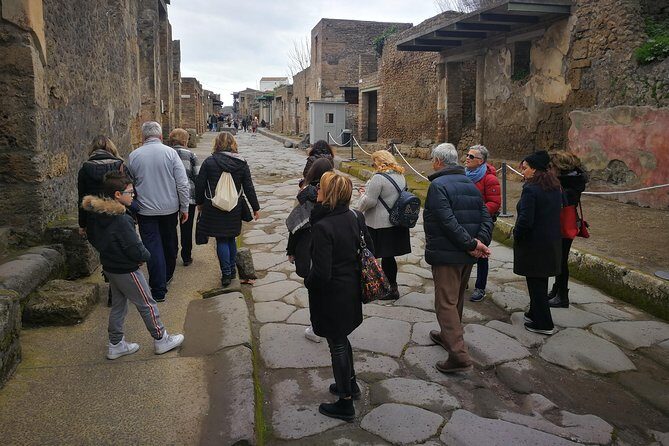 Mount Vesuvius Shore Tour, Pompeii & Winery Vesuvius Winery - A Full Day Loop from Naples: Pompeii, Trecase winery, and Vesuvius crater