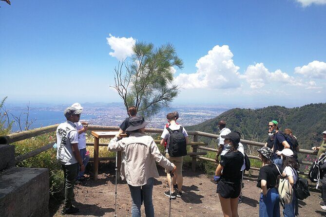 Mount Vesuvius Shore Tour, Pompeii & Winery Vesuvius Winery - Vesuvius National Park crater tour: the view you came for