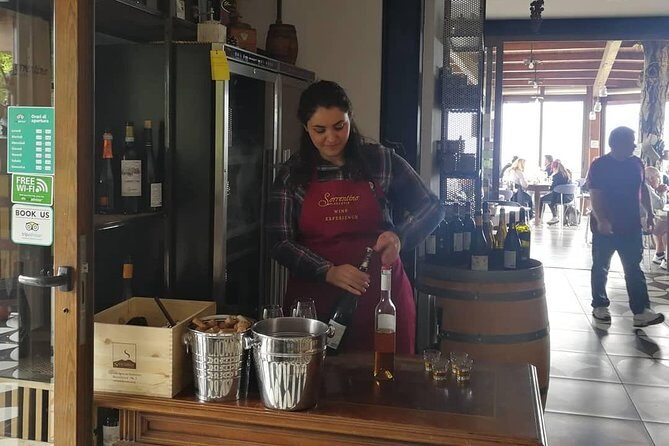 Mount Vesuvius Shore Tour, Pompeii & Winery Vesuvius Winery - Who should book this tour—and who might skip it