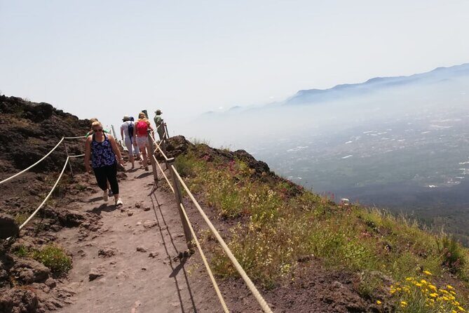 Mount Vesuvius tour by bus and ticket included from Ercolano - Price and value: is $50.33 a good deal for Vesuvius?