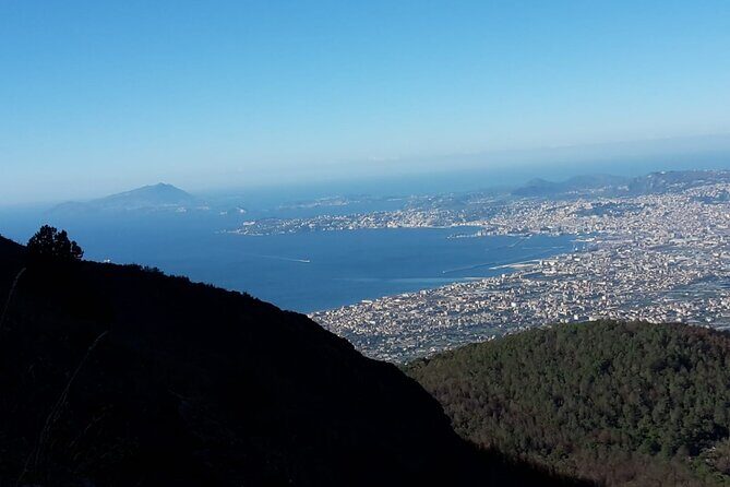 Mount Vesuvius tour by bus and ticket included from Ercolano - Who this Vesuvius tour suits best (and who should skip it)