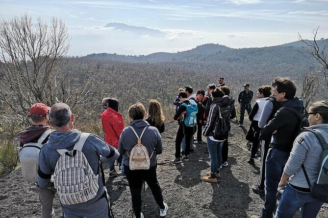 Mount Vesuvius tour by bus and ticket included from Ercolano - Check-in and your mobile ticket: what happens before the bus leaves