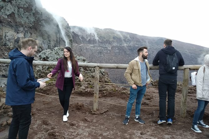 Mt Vesuvius Half-Day Trip from Naples - The Drive Through Vesuvius National Park and the Climb to the Summit Rim